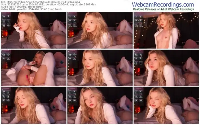 stripchat-morphesoull-08-15-2024-11-23-44