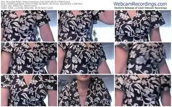 stripchat-vanessa_chat-08-15-2024-17-08-20