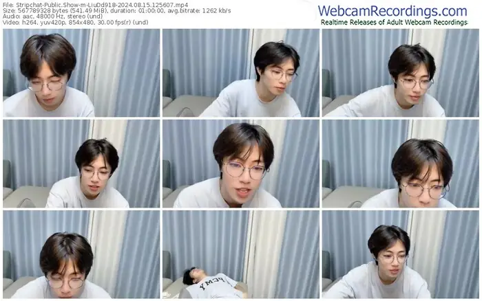 stripchat-liudd918-08-15-2024-12-56-07