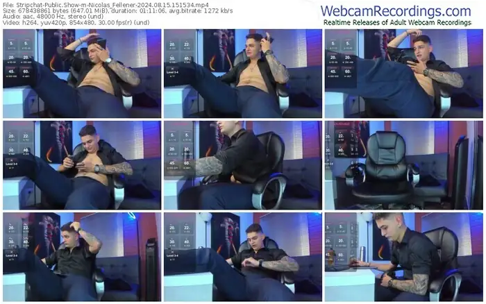 stripchat-nicolas_fellener-08-15-2024-15-15-34