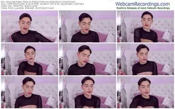 stripchat-robbycharming-08-15-2024-22-44-33