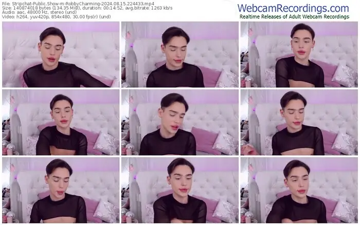 stripchat-robbycharming-08-15-2024-22-44-33