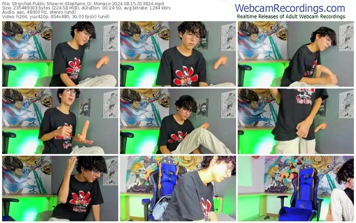 stripchat-stephano_di_monaco-08-15-2024-01-38-24