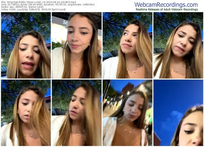 stripchat-hall_16-08-16-2024-23-18-03