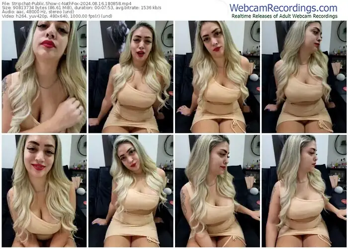 stripchat-nathfox-08-16-2024-18-08-58
