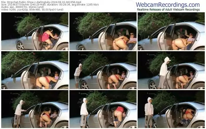 stripchat-darlingluky-08-16-2024-04-16-58