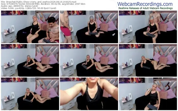 stripchat-tony_and_sophia-08-16-2024-16-43-25