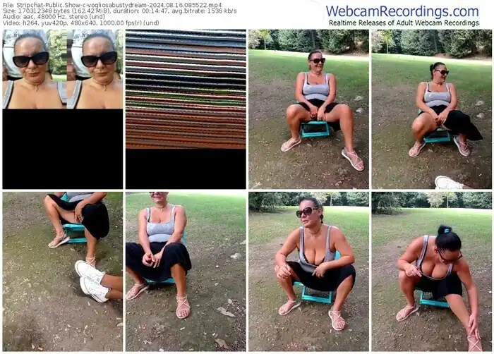 stripchat-vogliosabustydream-08-16-2024-08-55-22