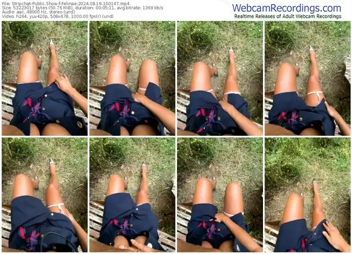 stripchat-felinae-08-16-2024-10-01-47