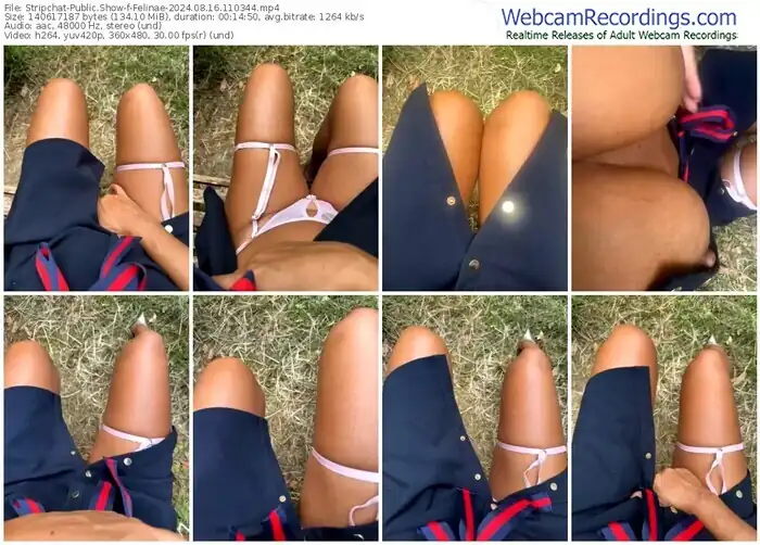 stripchat-felinae-08-16-2024-11-03-44