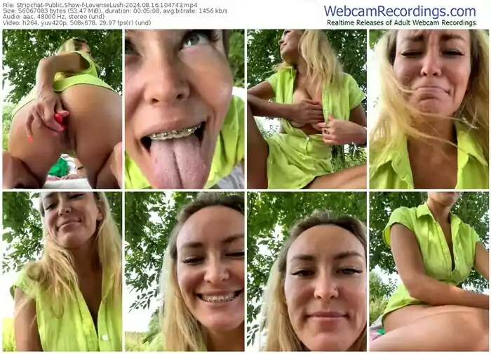 stripchat-lovenselush-08-16-2024-10-47-43