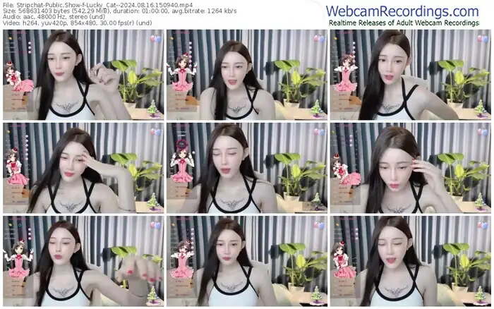 stripchat-lucky_cat--08-16-2024-15-09-40