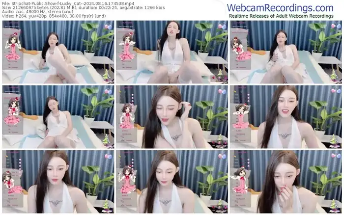 stripchat-lucky_cat--08-16-2024-17-45-38