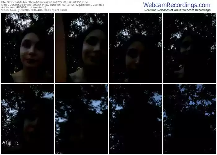 stripchat-sandracarter-08-16-2024-16-43-30
