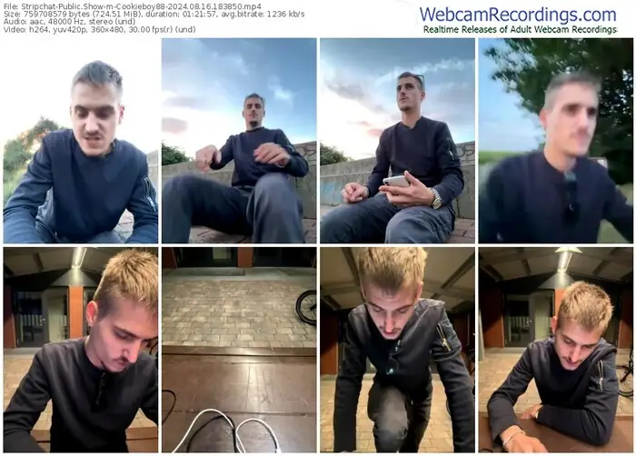 stripchat-cookieboy88-08-16-2024-18-38-50