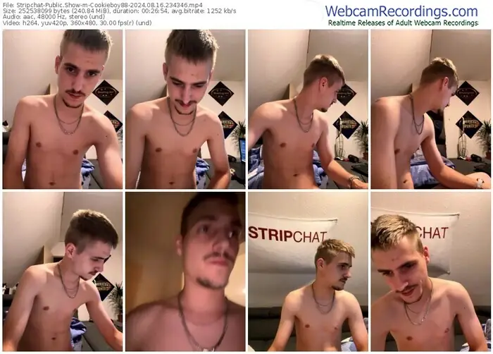 stripchat-cookieboy88-08-16-2024-23-43-46