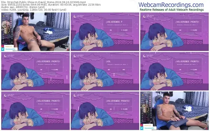 stripchat-david_stone-08-16-2024-02-30-49
