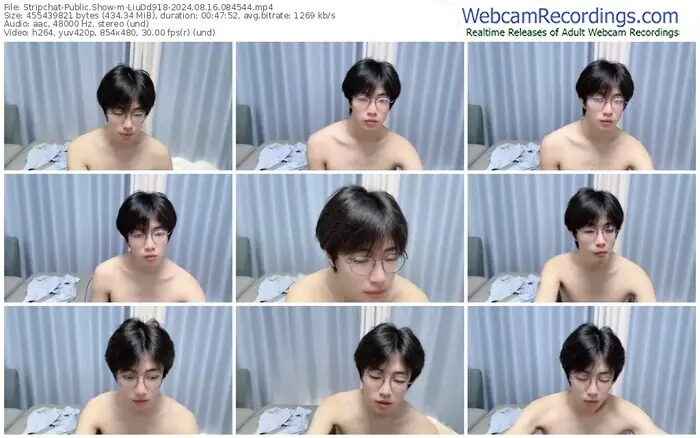 stripchat-liudd918-08-16-2024-08-45-44