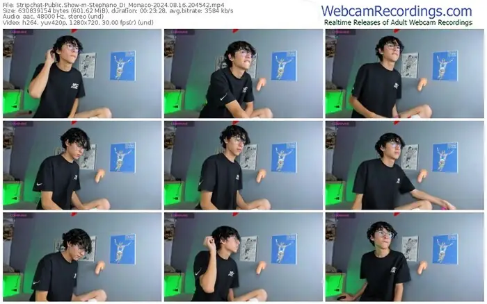 stripchat-stephano_di_monaco-08-16-2024-20-45-42