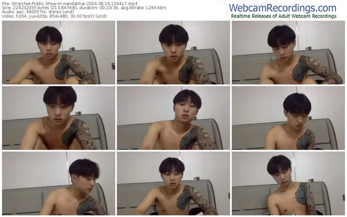 stripchat-nandalihai-08-16-2024-15-44-17