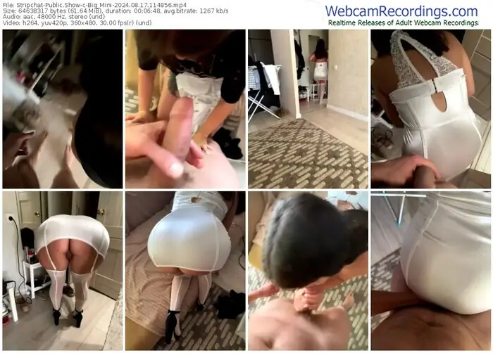 stripchat-big_mini-08-17-2024-11-48-56