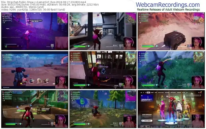 stripchat-gamergirl_eve-08-17-2024-23-18-00