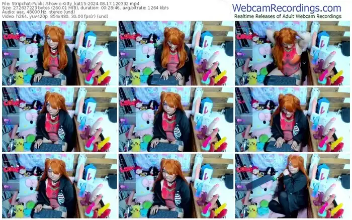 stripchat-kitty_kat15-08-17-2024-12-03-32