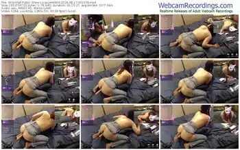 stripchat-luulee0804-08-17-2024-00-19-39