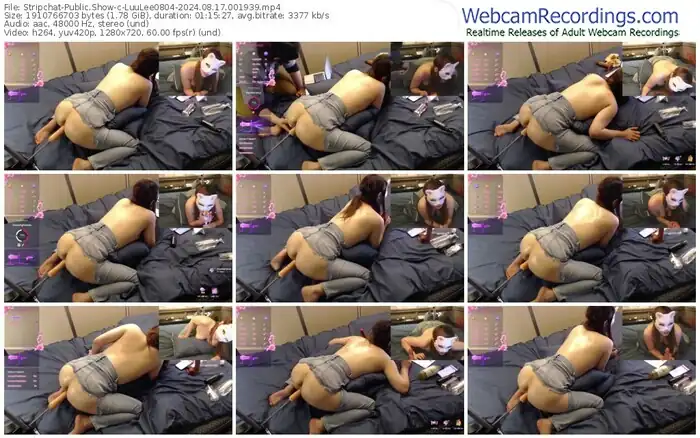 stripchat-luulee0804-08-17-2024-00-19-39