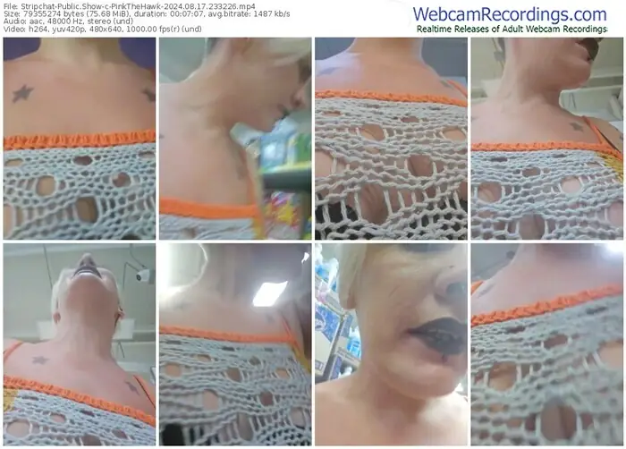 stripchat-pinkthehawk-08-17-2024-23-32-26