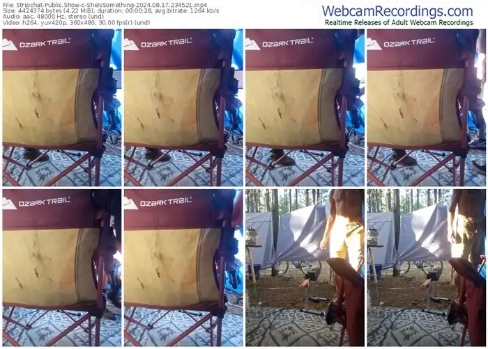 stripchat-sheissomething-08-17-2024-23-45-21