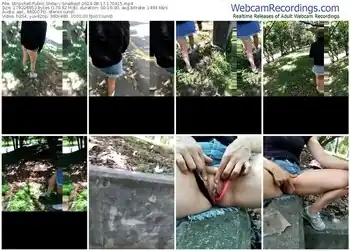 stripchat-snaibest-08-17-2024-17-04-15