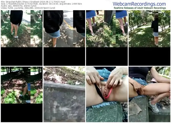 stripchat-snaibest-08-17-2024-17-04-15