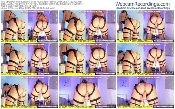 stripchat-alise_multiview_parker-08-17-2024-11-23-19