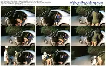 stripchat-darlingluky-08-17-2024-00-54-17