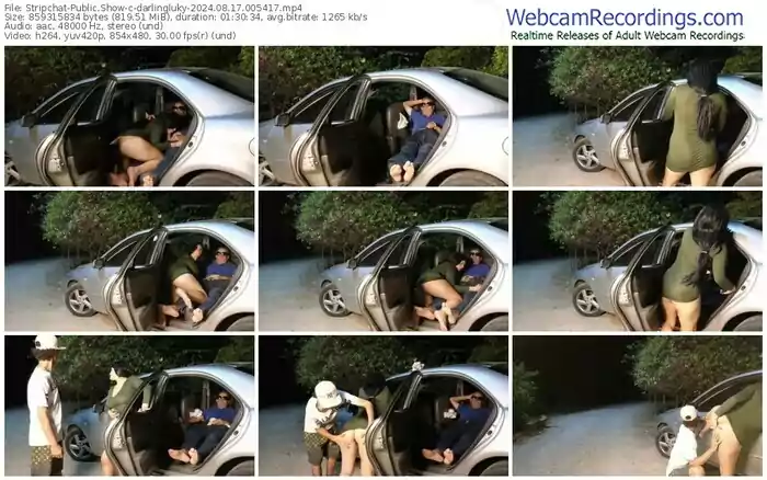 stripchat-darlingluky-08-17-2024-00-54-17