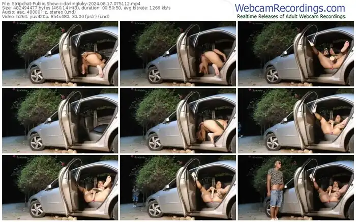 stripchat-darlingluky-08-17-2024-07-51-12