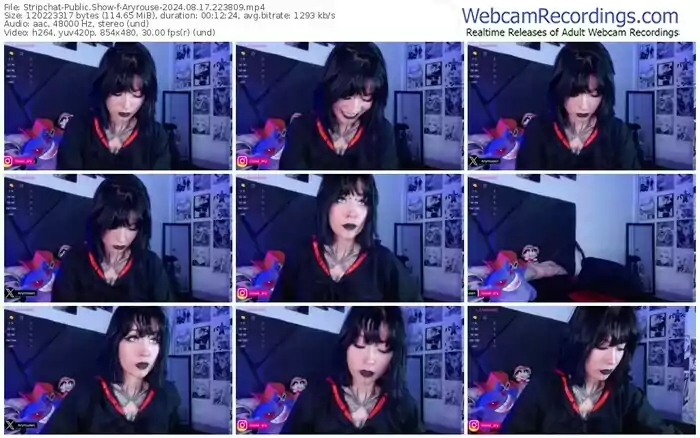 stripchat-aryrouse-08-17-2024-22-38-09