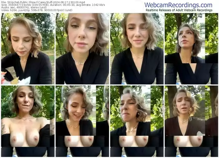 stripchat-caseystuff-08-17-2024-13-01-03