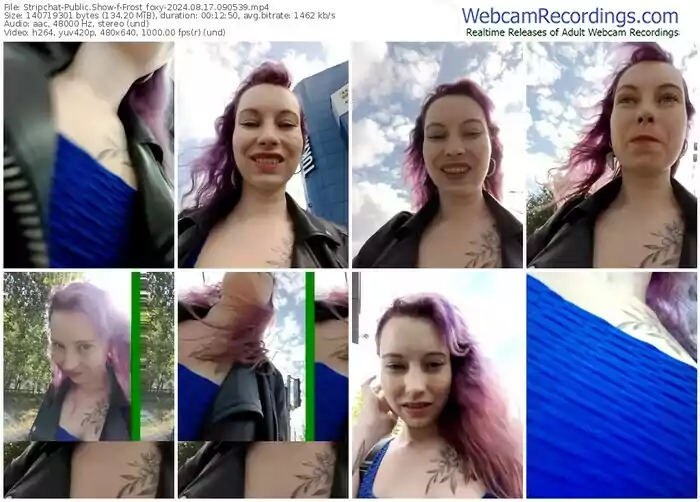 stripchat-frost_foxy-08-17-2024-09-05-39