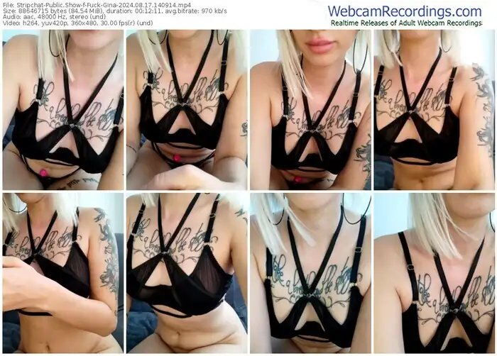 stripchat-fuck-gina-08-17-2024-14-09-14