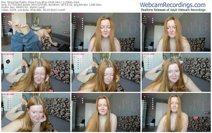 stripchat-leyafox-08-17-2024-12-58-41