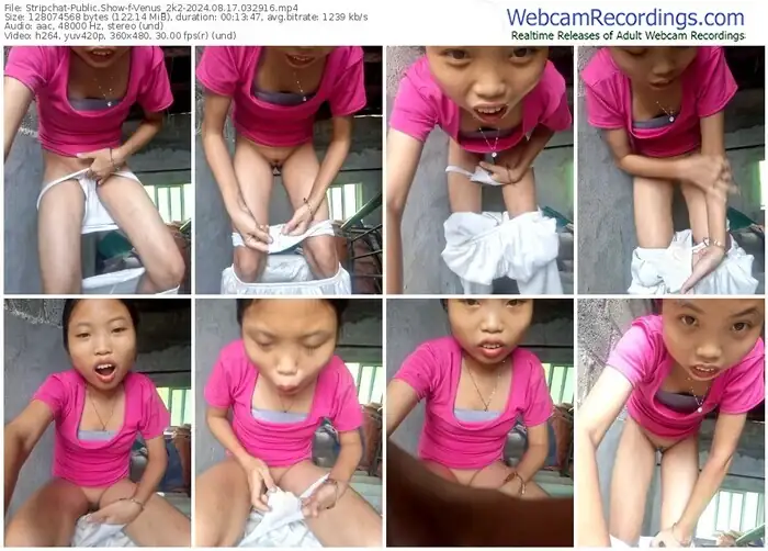 stripchat-venus_2k2-08-17-2024-03-29-16