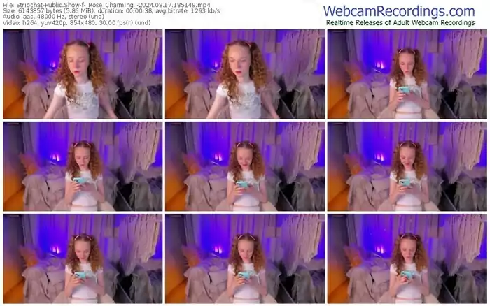 stripchat-_rose_charming_-08-17-2024-18-51-49