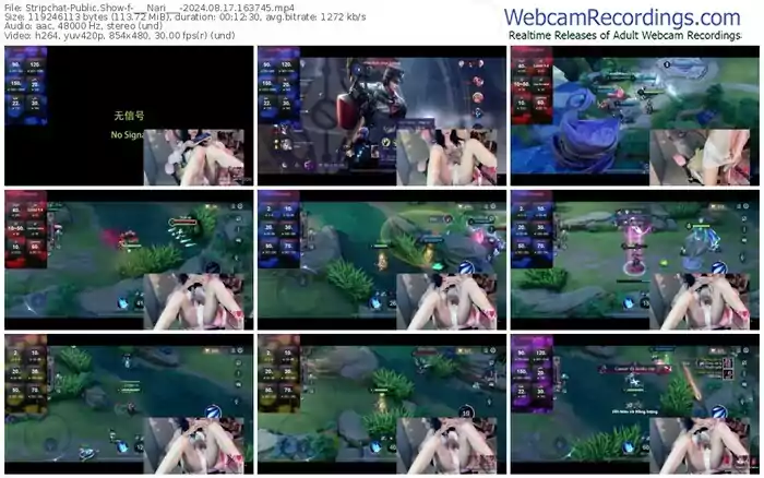 stripchat-___nari___-08-17-2024-16-37-45