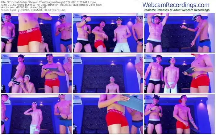 stripchat-thevoraginegroup-08-17-2024-22-24-19