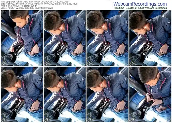 stripchat-mosmar_20-08-17-2024-20-38-00