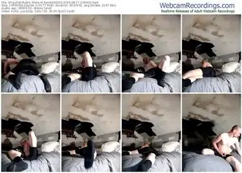 stripchat-twisted4200-08-17-2024-15-09-03