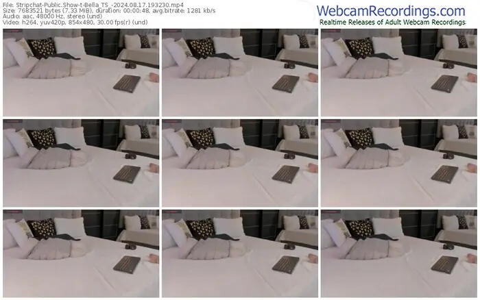 stripchat-bella_ts_-08-17-2024-19-32-30