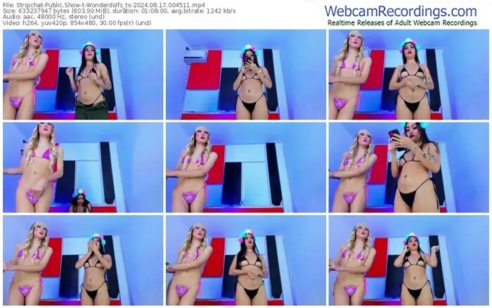 stripchat-wonderdolfs_ts-08-17-2024-00-45-11